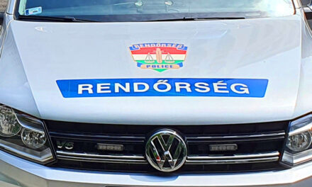 Tarkón szúrta élettársát a férfi, majd öngyilkoságnak hazudta a gyilkosságot: két gyermek maradt anya nélkül