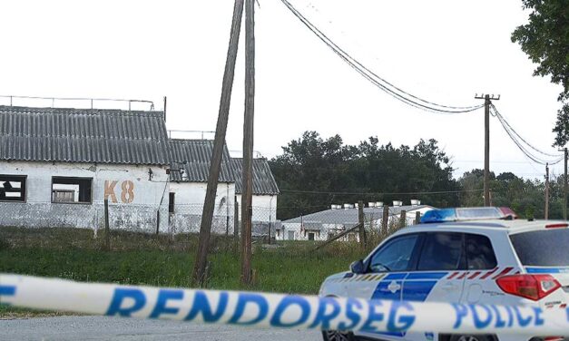 Tragédia a barcsi sertéstelepen: kollégája életét akarta megmenteni a 29 éves férfi, végül ő fulladt meg a mérges gáztól