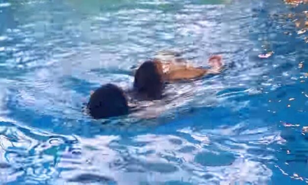 Agyevő baktériummal fertőződött meg egy 11 éves fiú, aki az Esztergom melletti strandon járt: kritikus állapotban van a gyerek