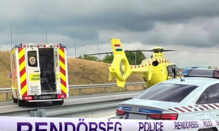 Tragédia! Három felnőtt és egy gyerek szörnyethalt az M1-esen történt balesetben, három kiskorú életéért küzdenek