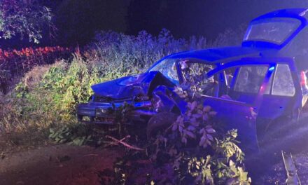 „Nem bírom a hiányod” – rejtélyes balesetben halt meg egy családapa Tiszaföldváron, Attila egyedül autózott, amikor bekövetkezett a tragédia