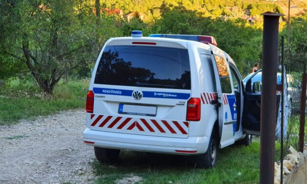 Embertelen! Fűrésszel akarta levágni értelmileg és fizikailag is sérült testvére fejét egy kisvárdai férfi