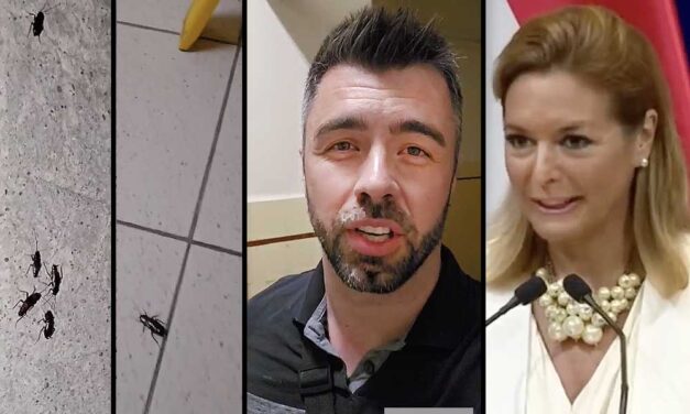 Csótányok hemzsegnek a Péterfy kórházban: Kulja András videón mutatja meg Vitályos Eszternek, hogy nem az ő lakásában szaladgálnak a rovarok