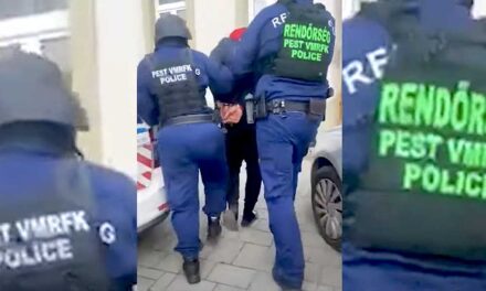 Testvérével élt együtt egy ceglédi panellakásban a pedofil férfi, a készenléti rendőrök csaptak le rá, miközben a Guns N’ Roses koncertre készült