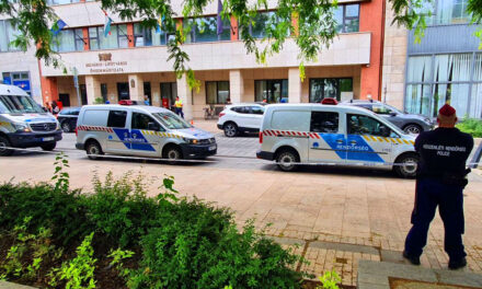 Zsarolta, fenyegette és bántalmazta ismerőseit a szécsényi férfi: a kisgyermekes anyának a torkát akarta elvágni, fiát pedig szamurájkarddal kergette meg