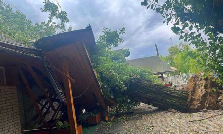 A kikötőkben törte össze a hajókat a vihar, letarolta az alsőörsi büfét egy fa – Brutális videók és képek