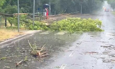 Lecsapott a vihar Budapestre és környékére, kidőlt fák, elöntött utcák mindenfelé – Fotók