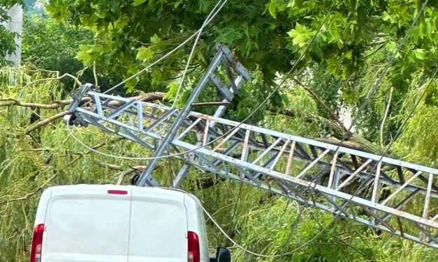 Katasztrófahelyzet Budakeszin: keddig áram nélkül marad a város, az orvosi ügyelet autójára rádőlt egy fa
