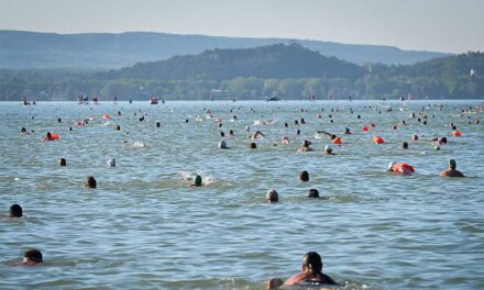 Egy óra alatt úszták át a leggyorsabbak a Balatont, rengetegen indultak el a versenyen