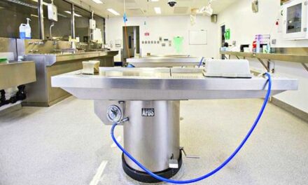 Balhé a pécsi klinikán: több száz csontot vettek ki a hamvasztásra váró holttestek koponyájából, megúszta a börtönt a igazgató és a boncmester