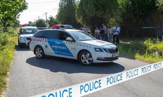 Gyilkosság Ecsegen: a 8 éves kislány próbálta ápolni haldokló anyját, miután nagybátyja egy biliárddákóval agyonverte a nőt