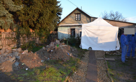 Gyilkosság Ecsegen: megölte testévét egy férfi, a nő 8 éves kislánya végignézhette a borzalmat