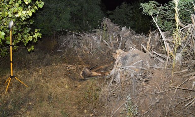 Július óta kerestette az élettársa az 56 éves férfit: kiderült, a veje ölte meg, majd elásta a tiszakécskei erdőben
