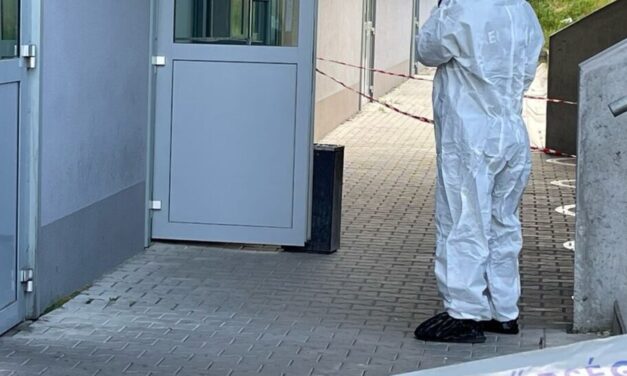 Gyilkosság Pesterzsébeten: a panellakás erkélyén szúrta le anyját egy férfi, az idős nő segítségért kiáltott fia tette közben