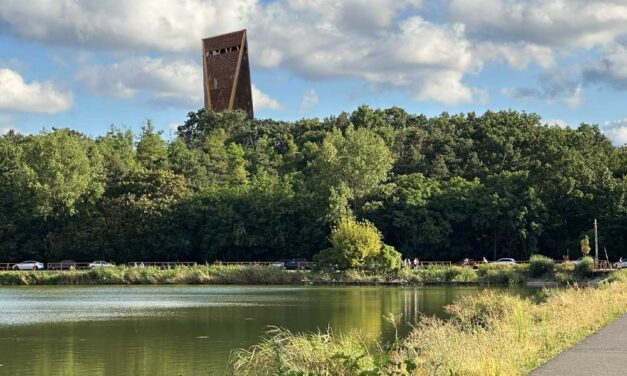 Dráma Kistarcsán: búcsúlevelet hagyott hátra és eltűnt otthonról egy nő, a Naplás-tó környékén találtak rá