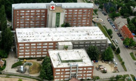 Ágyi poloskát észleletek a székesfehérvári kórházban, az intézmény szerint egyelőre nincs fertőzésveszély
