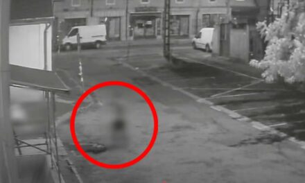 Börtönbe küldenék a 15 éves fiút, aki egy betondarabbal megdobta az alvó hajláktalant a Tátra téri piacon