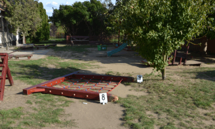 Csányi baleset: halálra nyomta a ledőlt mászóka a 6 éves kislányt, 70 millió forint sérelemdíjat kér a család