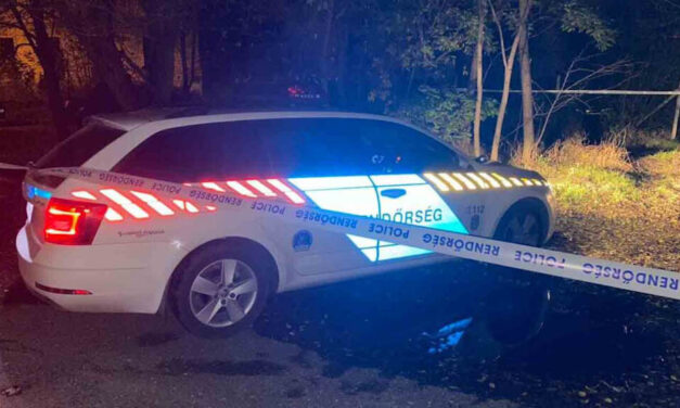 Leszúrta egy tőrrel a dunakeszi buszmegállóban élettársa fiát, majd bement a trafikba vásárolni