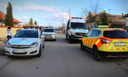 Nem bírta tovább ápolni magatehetetlen anyósát, piszkavassal verte agyon az idős asszonyt