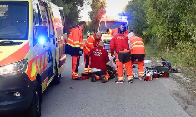 Őzzel ütközött egy rolleres Nagykőrösön, a férfi a kórházban meghalt, és az állat is elpusztult