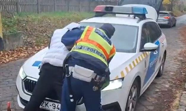 Fuvart ígértek, de kirabolták és bántalmazták a váci vasútállomáson a külföldi férfit: rendőrségi videó a cikkben