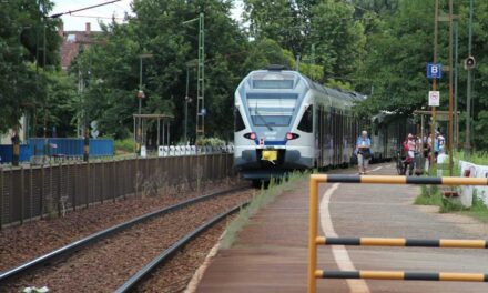 Berúgott a forgalmista, leállt a vasúti közlekedés a váci vonalon: a MÁV vezére kiakadt