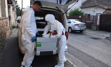 Kaposvári gyilkosság: katonaként szolgál a 23 éves barátnőjét halálra késelt férfi
