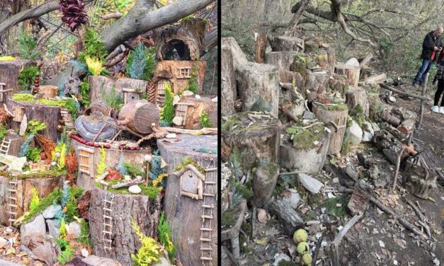 „Helyrehozhatatlan károk történtek” – vandálok verték szét a budakalászi Manófalvát, az alkotó soha többé nem akarja újraépíteni az installációt