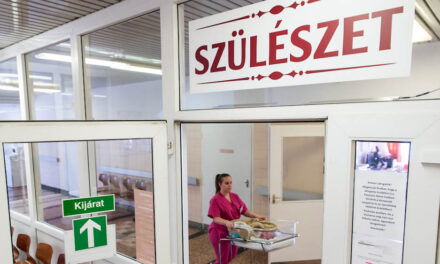 Idén már 14 csecsemő halt meg szifilisz fertőzésbe, emiatt kötelezően tesztelik a szülés előtt álló kismamákat a kórházban