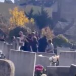 Balhé a kaposvári temetőben: két család esett egymásnak, az asszonyok rikácsolva pofozták egymást