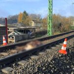 Elütött egy embert a vonat Isaszegen, Piliscsabán szarvast gázolt egy szerelvény