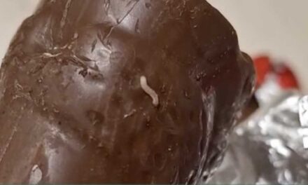 Kukacos csokimikulást kaptak a hajdúböszörményi óvodások és iskolások, többen rosszul lettek az édességtől