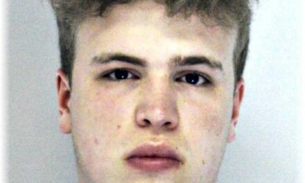 Eltűnt Dunabogdányból egy 23 éves fiú, Levente édesanyja a lakosság segítségét kéri