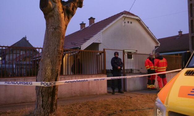 Csepeli anyagyilkos: vádat emeltek az óvónő ellen, aki azért végzett anyjával, mert az asszony egész életében irányította az életét