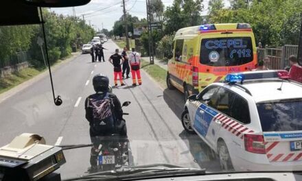 Kutyatámadás Vácon: egy pár hónapos csecsemő fejét marcangolta szét a család kedvence Vácon, életveszélyben van a kisbaba