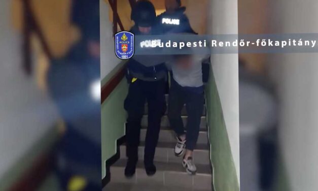 Interneten hirdette magát az Angyalföldön halálra késelt Dolli, a feltételezett elkövető politikusokra akart vadászni