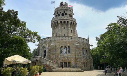 Saját magának adta bérbe az Erzsébet-kilátó büféjét a fideszes-idők kerületi cégvezetője