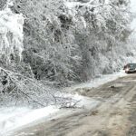 Fagyhalál: két embert is holtan találtak a zord időben, mindketten ittasak lehetettek