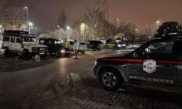 Eltűnt egy 77 éves demens asszony Gyálról, egész éjjel keresték, életveszélyben lehet – fotó a cikkben