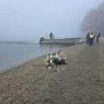 Tahitótfalvi otthonából ment el a 38 éves férfi, ruháit a Duna-parton találták meg: családja kétségbeesve keresi Benedeket – fotó a cikkben