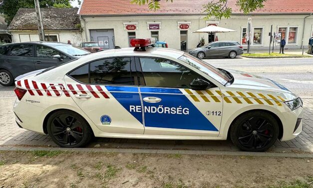 Italozás közben, bárddal verte fejbe volt élettársát egy nő, kis híján tragédia lett a vége