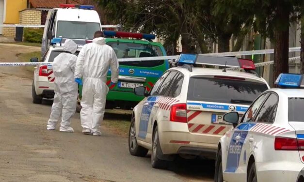 „Szerettem a feleségemet, nem akartam megölni” – mondta a férfi, aki csákánnyal verte agyon feleségét