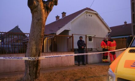 „Nagyon megbántam, amit tettem” – megszólalt a csepeli óvónő, aki azért végzett anyjával, mert az asszony egész életében irányította az életét