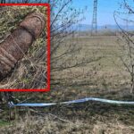 Közösségi szemétszedés közben találtak egy bombát Dunakeszin, a tűzszerészek a helyszínen hatástalanították