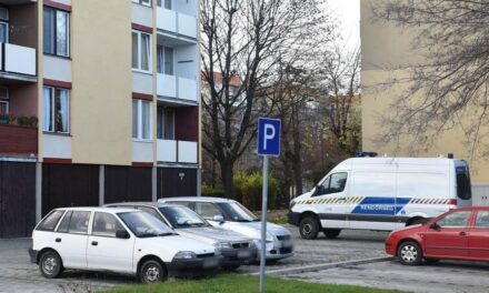 Mumifikálódott holttestet találtak egy debreceni panelház tárolójában, a rendőrség a lakosság segítségét kéri