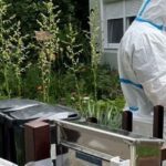 „Anyátokat senki sem bántotta” – mondta a bíróságon a férfi, aki halálra késelte mozgássérült feleségétm majd a holttesttel aludt