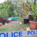 Drogtermesztés miatt 5 év fegyházat kapott a hódmezővásárhelyi Fidelitas volt alelnöke