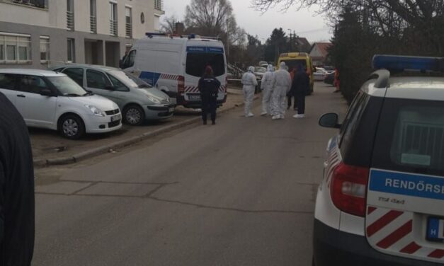 Gyilkosság Fóton: 4 hónap házasság után, saját hálószobájában végzett feleségével a férfi