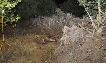 Tiszakécskei eltűnés: 80 éves élettársa is tudhatott arról, hogy veje megölte, majd elrejtette az 54 éves férfit